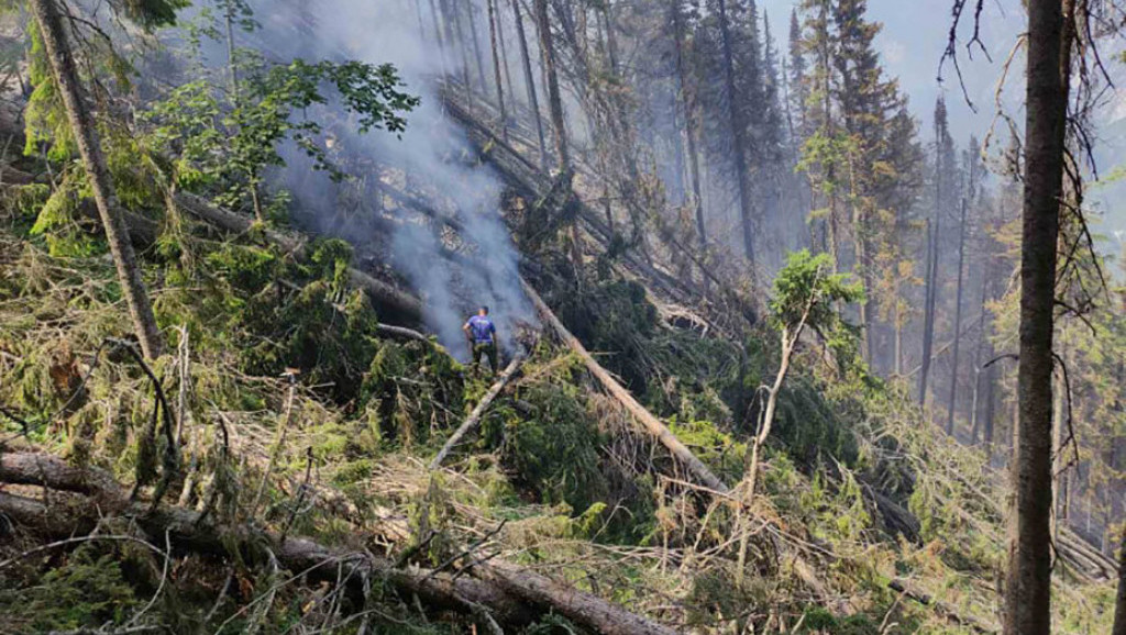 Požar na Tari, gori  100 hektara borove šume