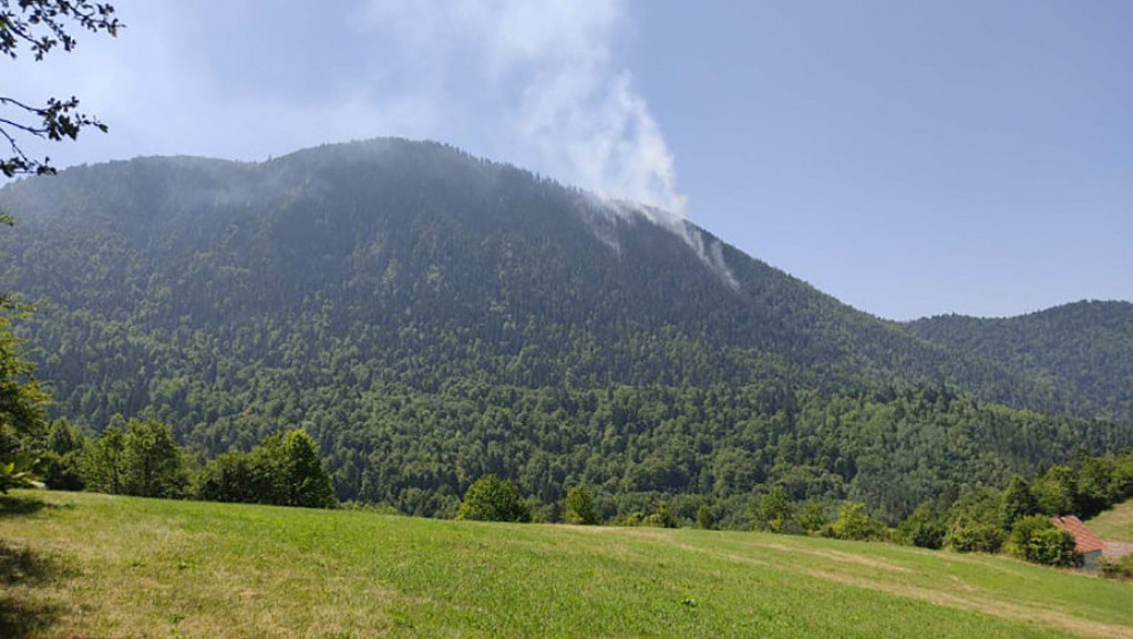 Da li će klimatske promene spaliti šume u Srbiji? Temperature bi do kraja 21. veka mogle da dostignu one u Grčkoj