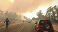Veliki požar na Peloponezu: Zatvoren put Atina-Patra i most Rio-Antirio, evakuisana četiri sela