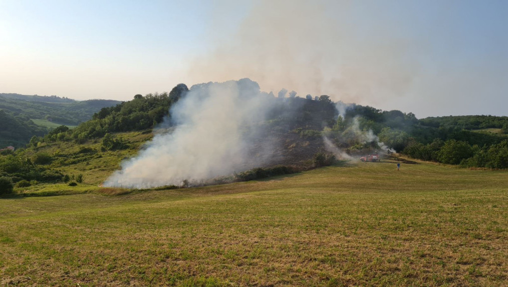 Ugašen požar na Fruškoj Gori, izgorelo tri hektara pašnjaka