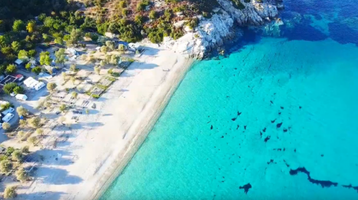 Nova uzbuna u Grčkoj: Nakon napada vuka na dečaka, turisti primetili šakala na Sitoniji (VIDEO)