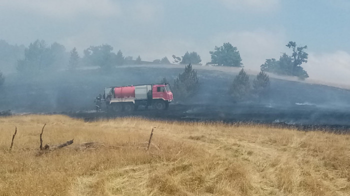 Lokalizovan požar na Mokroj Gori