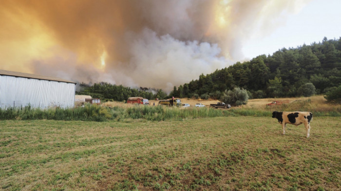 Treća žrtva katastrofalnih požara u Grčkoj: Na ostrvu Evija pronađeno telo nestalog muškarca-