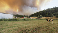 Micotakis o požarima: Ako neko sumnja da su klimatske promene stvarne, neka dođe da vidi njihovu jačinu