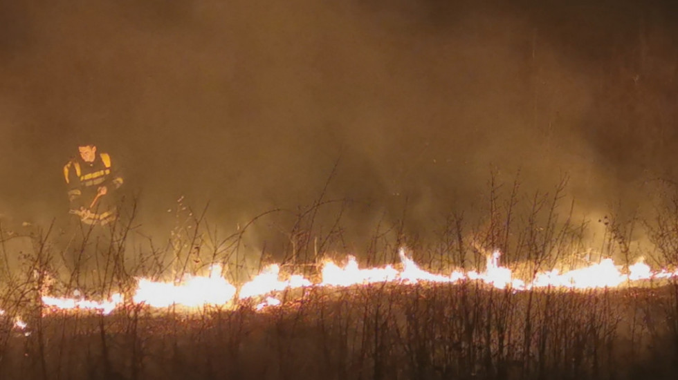 Požar zahvatio na desetine hektara borove šume na Zlatiboru, a ponovo je buknuo i na Murtenici