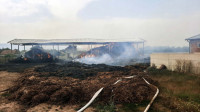 Požar na farmi porodice Božić na Kosovu: Životinje spasene, vatrogasci i dalje na licu mesta