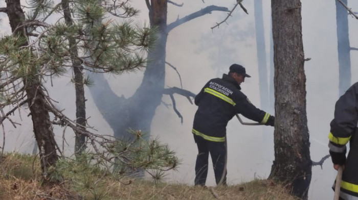 Požari na više lokacija u Srbiji - vatrogasci angažovani na Zlatiboru, Tari i Murtenici