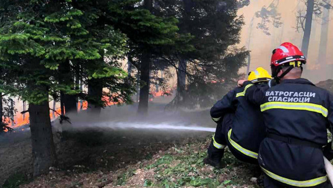 Požar na Vodicama kod Zlatibora: Vatra zahvatila oko dva hektara, na terenu nadležne službe