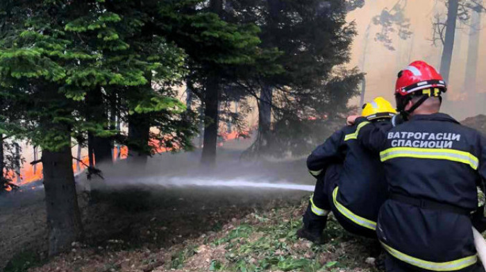 Vatrogasci u Boru šest sati gase požar koji je pretio da zahvati stambene objekte