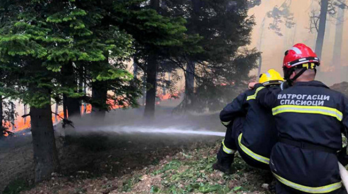 MUP: Požari na Tari i Zlatiboru stavljeni pod kontrolu