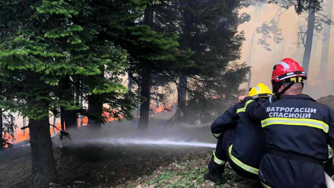 Vatrogasci u Boru šest sati gase požar koji je pretio da zahvati stambene objekte