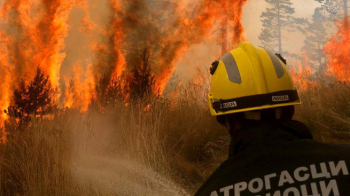 Požari progutali oko 500 hektara u Zlatiborskom okrugu: Milionske materijalne štete, a još su veće ekološke i socijalne