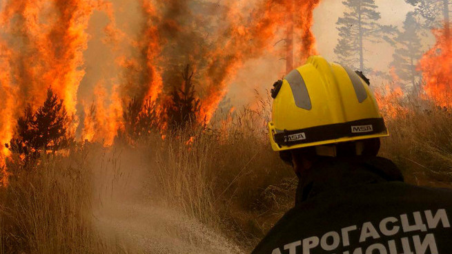 Požari progutali oko 500 hektara u Zlatiborskom okrugu: Milionske materijalne štete, a još su veće ekološke i socijalne