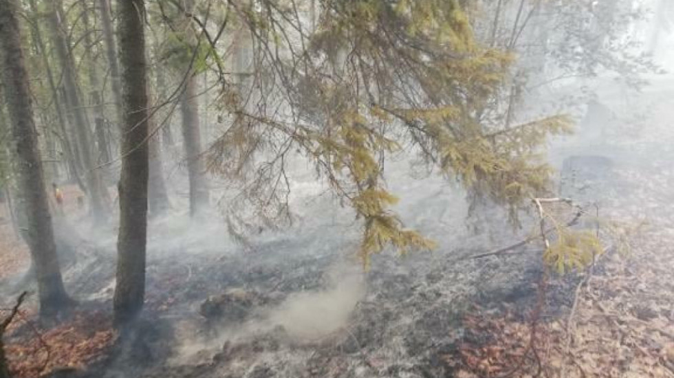 Požar progutao 330.000 hektara nacionalnog parka Ibera u Argentini