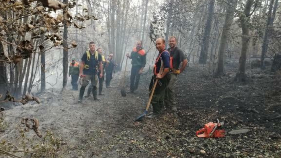 Lokalizovani požari na Zlatiboru i Tari, opasnost od ponovnog širenja postoji još samo na brdu Brijač na Murten