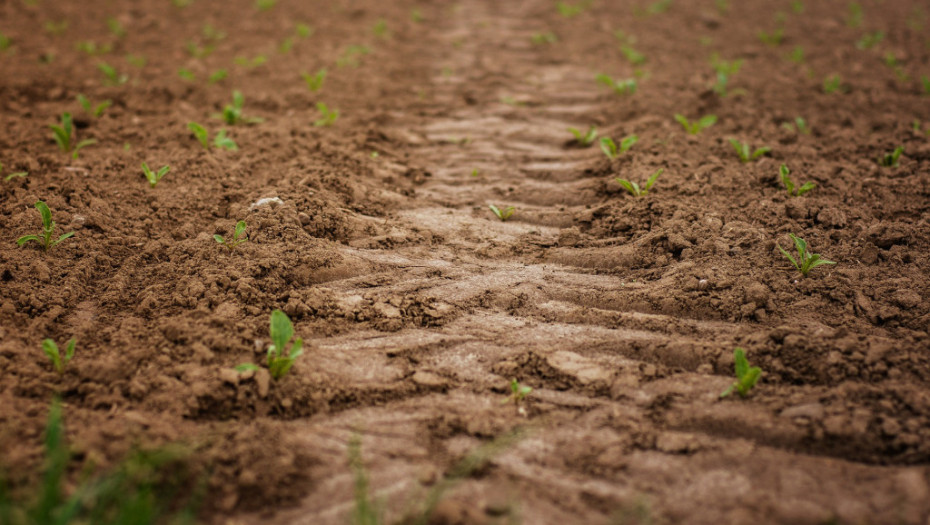 Vraćeno u posed države 700 hektara poljoprivrednog zemljišta u Sirigu i Čeneju
