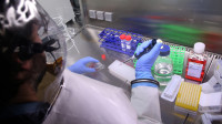Naučnici objavili prvu fotografiju omikron soja koronavirusa