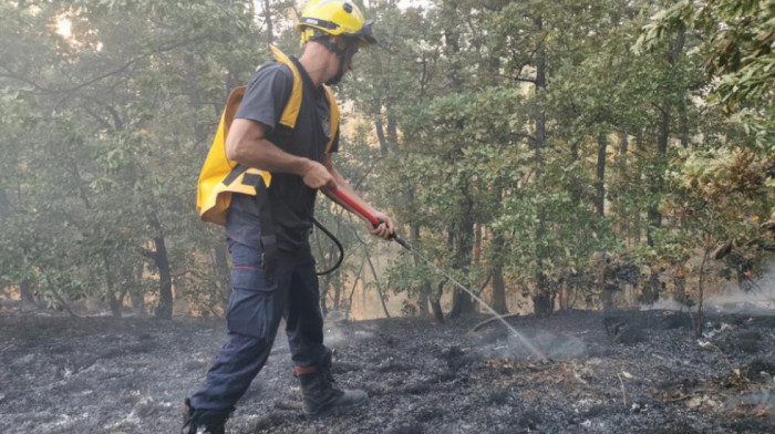 Požar zahvatio 20 hektara šume kod Nove Varoši, vatrogasci na terenu
