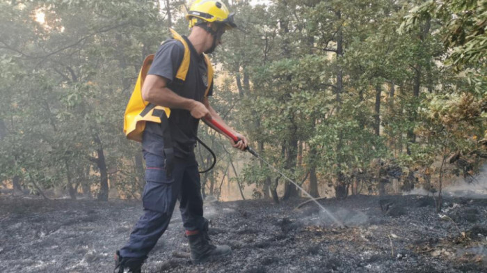 Ne smiruju se požari u Hercegovini, najkritičnije u Bileći gde su i kuće ugrožene