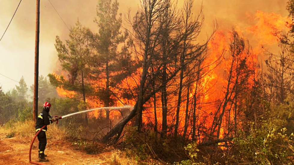 U požarima na Eviji izgorela trećina šuma