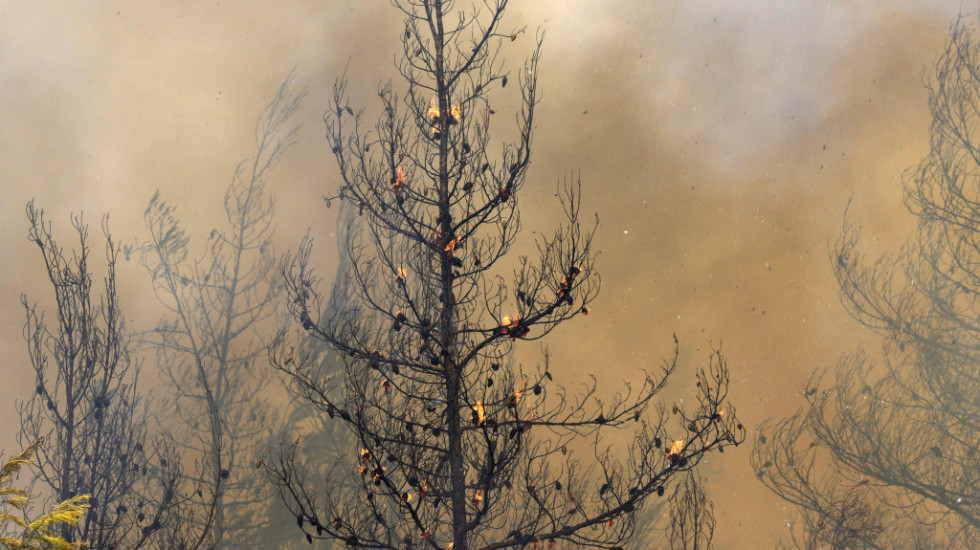 Na Peloponezu evakuisano više od 20 sela, požari idu ka stambenim delovima