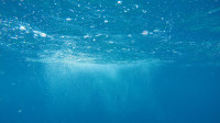Topla voda Sredozemnog mora pretnja životu u moru
