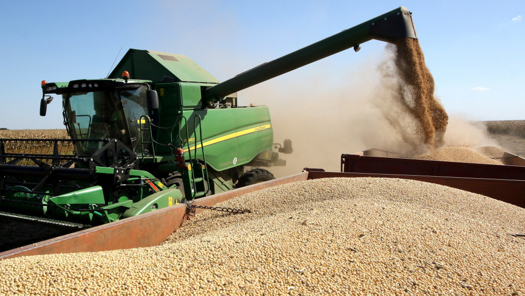 Direktor Produktne berze: Imamo dovoljno žitarica, ali vreme niskih cena poljoprivrednih proizvoda je definitivno prošlo