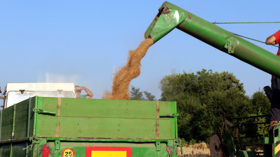 Ministarstvo poljoprivrede: Izvozne kvote za žitarice biće tromesečne, umesto dosadašnjih koje su bile na mesečnom nivou