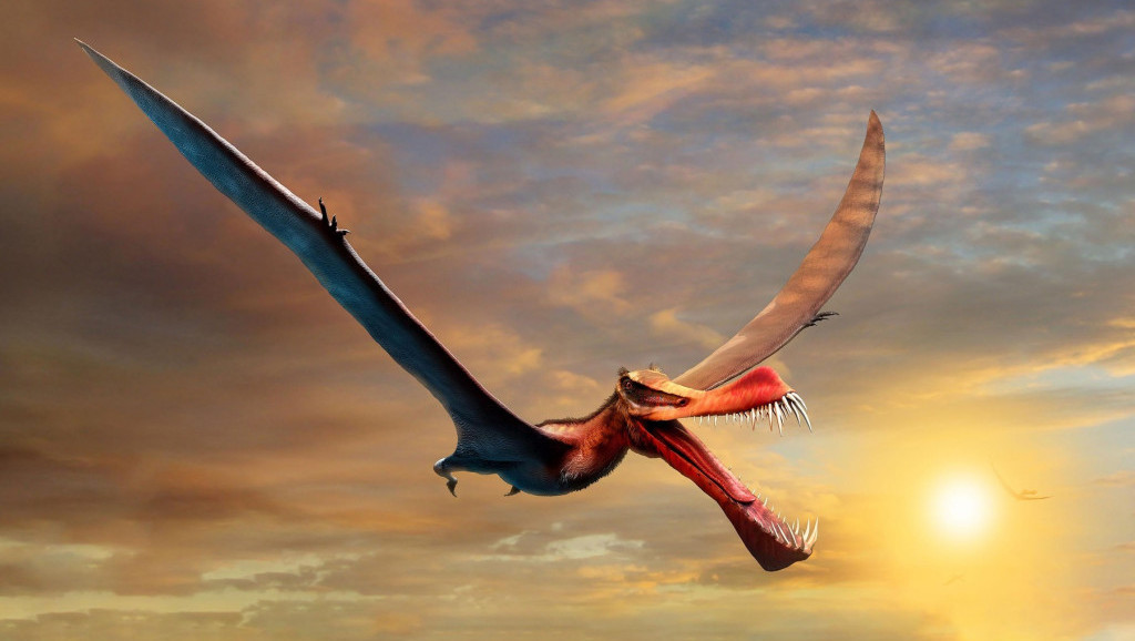 Zastrašujući "zmaj" sa rasponom krila od sedam metara bio je najveći reptil u Australiji