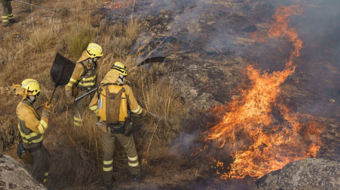 Požar kod sela Petrovo koje je deo Nacionalnog parka