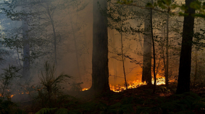 Veliki šumski požar u Sloveniji, pomaže i hrvatski kanader