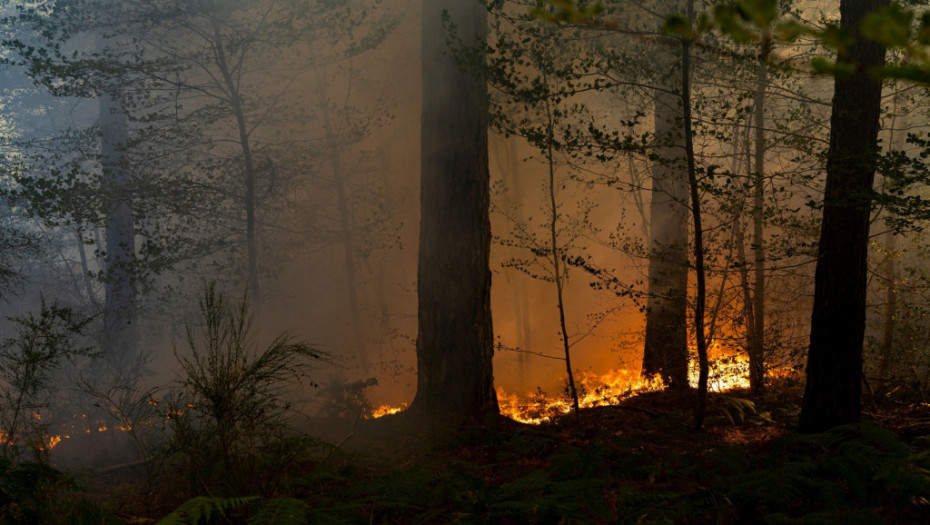 Veliki šumski požar u Sloveniji, pomaže i hrvatski kanader