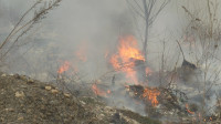 Veliki šumski požari ponovo na Zlatiboru, gorelo i u Bajinoj Bašti: Izgoreli malinjaci, livade i lokalno groblje