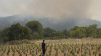Visoke temperature u Francuskoj, opasnost od požara