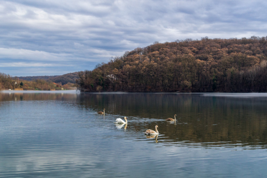 Sotsko jezero