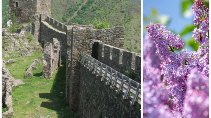 Dolina jorgovana krije misterioznu srednjevekovnu tvrđavu: Simbol ljubavi srpskog kralja i francuske princeze