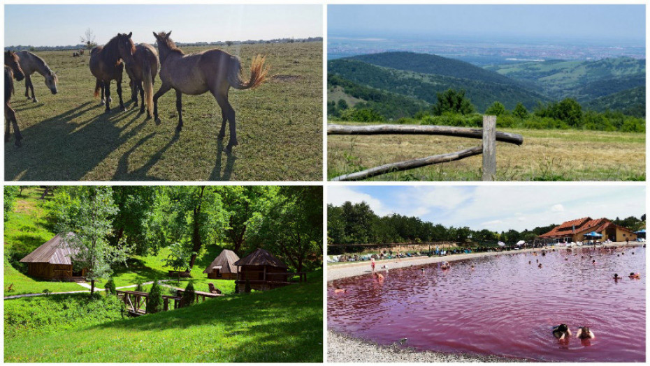 Šest fantastičnih destinacija u Vojvodini koje su idealne da ih posetite pre jeseni