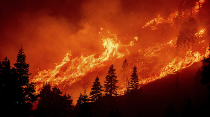 Veliki požar u Kaliforniji - evakuisano 2.000 ljudi