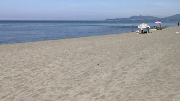 Pronađen mrtav delfin na Adi Bojani, turisti prvi uočili leš