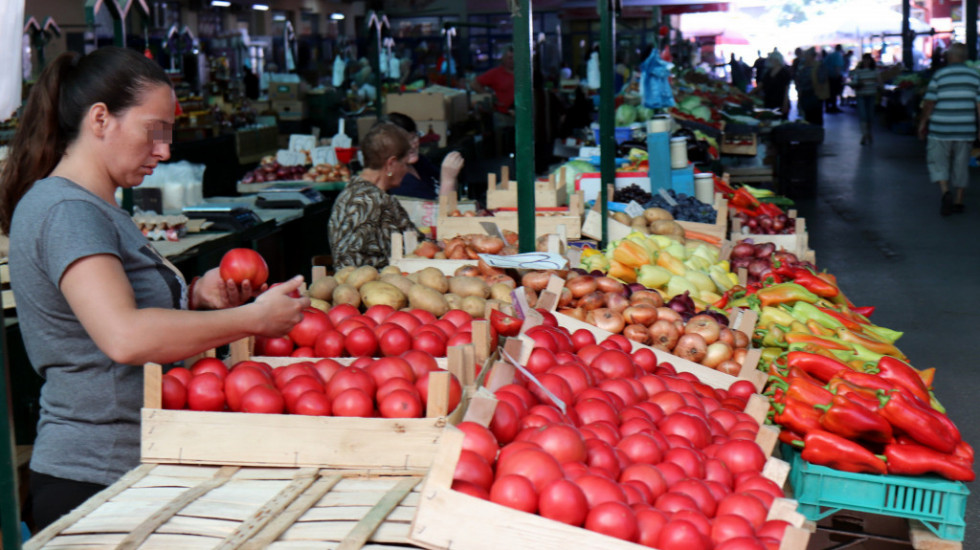Zbog niske cene proizvođači bacali i poklanjali paradajz: "Kada je stigao domaći, tržište već bilo preplavljeno uvoznim"