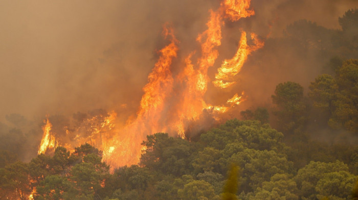 Šumski požar na jugozapadu Španije, evakuisano više od 800 ljudi