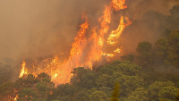 Šumski požar na jugozapadu Španije, evakuisano više od 800 ljudi