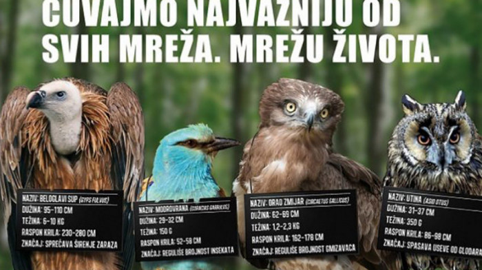 Nijedna vrsta ne umire sama: Telekom Srbija novom kampanjom ukazuje na važnost biološke raznovrsnosti
