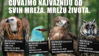Nijedna vrsta ne umire sama: Telekom Srbija novom kampanjom ukazuje na važnost biološke raznovrsnosti