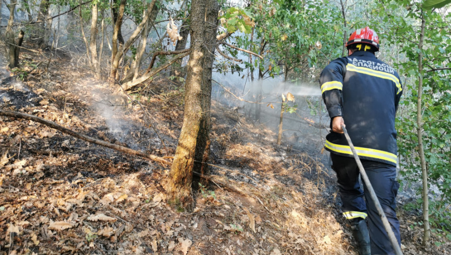 Gori više od hektara šume u selu kod Čačka, meštani se nadaju da vatra neće doći do kuća