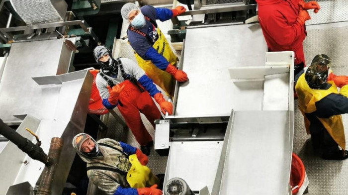 "Nije za svakoga, ide ko mora da reši problem": Jelena radi na Aljasci u fabrici ribe, iskustvo je bolno, ali se isplati