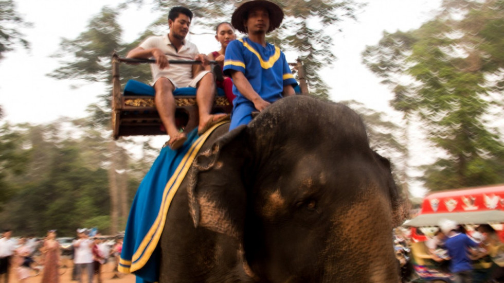 Život u zatočeništvu: Zašto nikada ne bi trebalo da jašete slona dok ste na odmoru