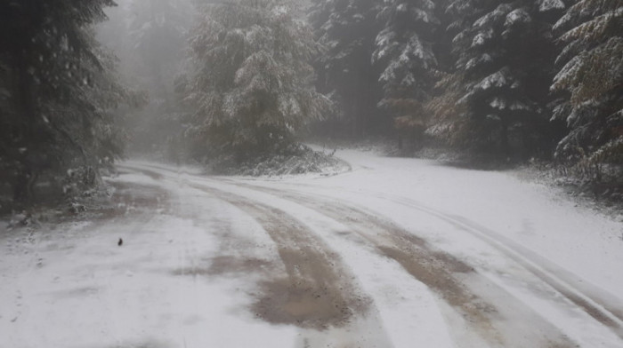 Prvi nagoveštaji zime: Sneg satima veje na Tari, zabeleli se lokalni putevi