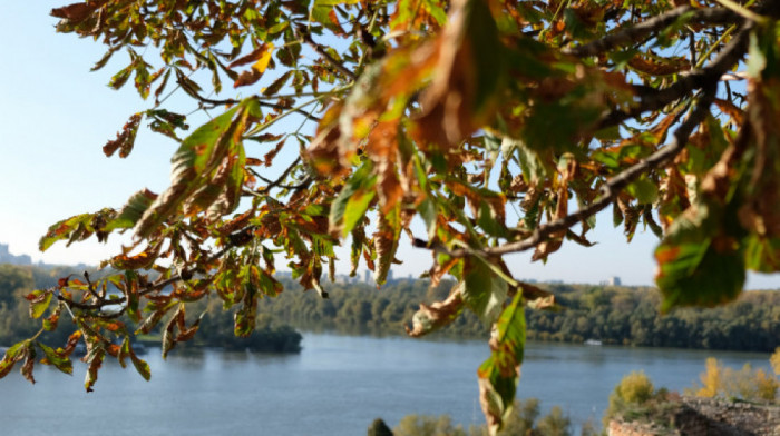 Posle hladnog jutra, tokom dana sunčano, temperatura do 17 stepeni Celzijusa