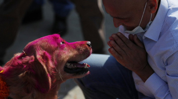 FOTO Festival na kojem se psi, pa čak i lutalice slave kao božanstvo - čovekov način da kaže hvala